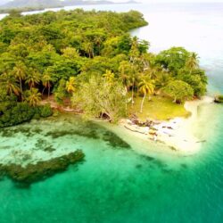Beaches: Tavanipupu Palm Paradisiac Island Turquoise Beach Islands