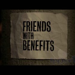 Friends With Benefits Blu