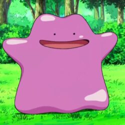 Ditto is now available in Pokémon Go