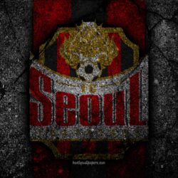 Download wallpapers Seoul FC, 4k, logo, K