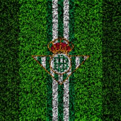 Download wallpapers Real Betis FC, 4k, logo, football lawn, Spanish