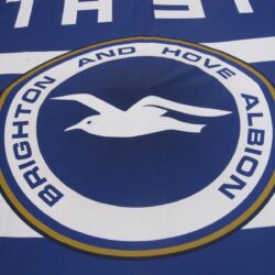 Brighton And Hove Albion Wallpapers