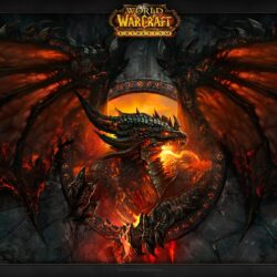 Wallpapers For > World Of Warcraft Wallpapers Alliance Vs Horde