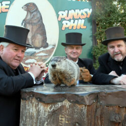 Three Rodents Prognosticate on Groundhog Day