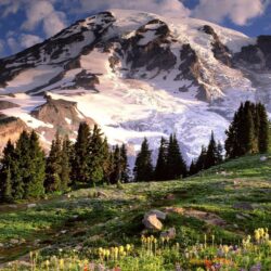 Mount Rainier 735816