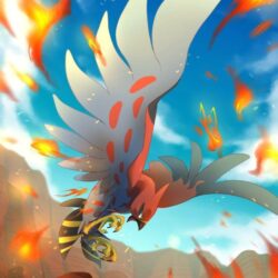 Commission by Jota: Talonflame’s Glory by 7