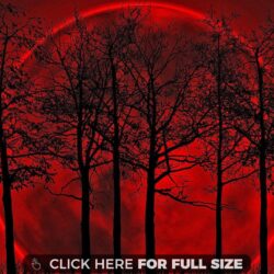 Red Blood Moon HD wallpapers