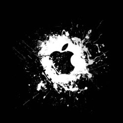 Fonds d&Apple : tous les wallpapers Apple