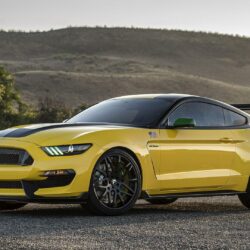 2016 Ford Shelby Mustang GT350 ‘Ole Yeller’ Wallpapers & HD Image