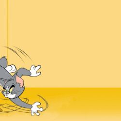 Tom And Jerry Wallpapers 595205