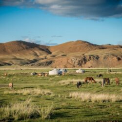 Image For > Mongolian Landscape
