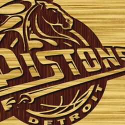 Download Wallpapers Detroit pistons, Basketball, Detroit