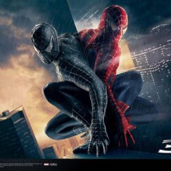 Wallpapers For > Spiderman Wallpapers Hd