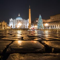 Vatican Vatican cathedral night lights square colonnade tree