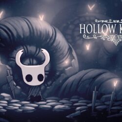 Hollow Knight by Team Cherry