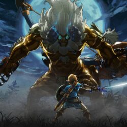 The Legend of Zelda Breath of the Wild The Master Trials DLC 4K 8K