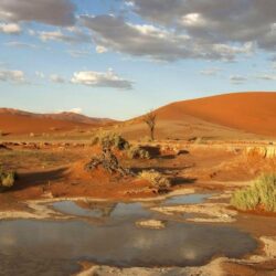 Desert: Meeting Namib Coastal Southern Africa Angola Namibia South