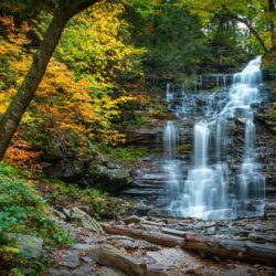 waterfall, cascade, river, forest, autumn, stones, pennsylvania