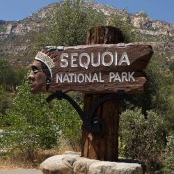 41+ Sequoia National Park Wallpapers, Top Ranked Sequoia National