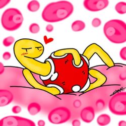A wild and sexy Shuckle appeared! by HimeHoshi13