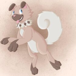 px Rockruff Wallpapers