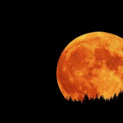 Wallpapers For > Red Full Moon Wallpapers