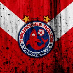 Download wallpapers Tiburones Rojos de Veracruz, Veracruz FC, 4k