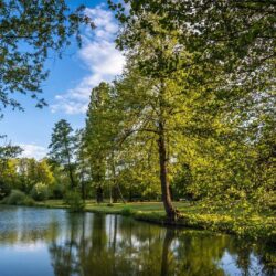 Bobovica Tag wallpapers: Nature Trees Bobovica Summer Zagreb