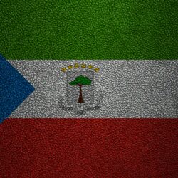 Download wallpapers Flag of Equatorial Guinea, Africa, 4k, leather