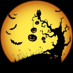 Halloween Wallpapers Free Downloads Group