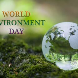 World Environment Day Protect For Wallpapers