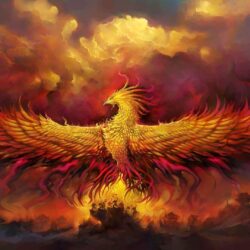 Fantasy Phoenix Artistic Bird Fire Wallpapers