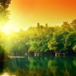 Amazon Rainforest Full HD Wallpapers Wallpapers