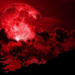 just howl image it’s the blood moon HD wallpapers and backgrounds
