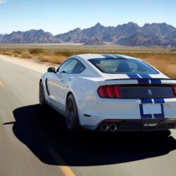 See Ford’s New Mustang Shelby GT350 in 52 Photos and Videos