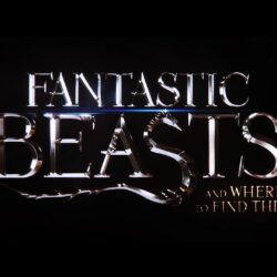 Fantastic Beasts And Where To Find Them Wallpapers HD Backgrounds