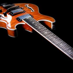 Hollow Body Electric Guitars