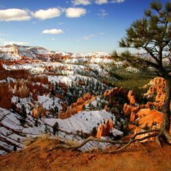 Snow In Bryce Canyon National Park