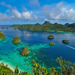 Raja Ampat Indonesia Lovely Ocean Bay Islands With Green Trees Hd