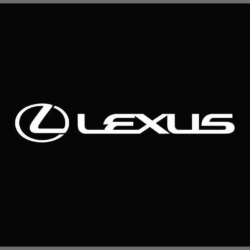 Lexus Logo Seat Covers Pleasant Lexus Reveals Kinetic Seat Concept