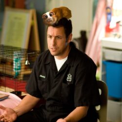Adam Sandler Wallpapers Image Photos Pictures Backgrounds