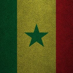 Download wallpapers Flag of Senegal, Africa, 4K, leather texture