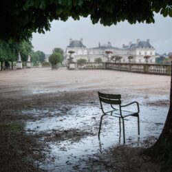 luxembourg terrace tree chair a pool after the rain HD wallpapers