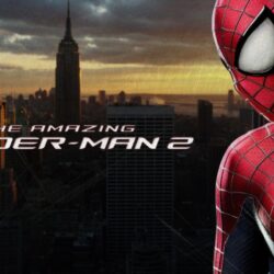 44 The Amazing Spider