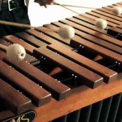 Pictures of Marimba Instrument Top View