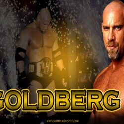 Goldberg Wallpapers › W.Impex