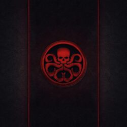 67+ Red Skull Wallpapers