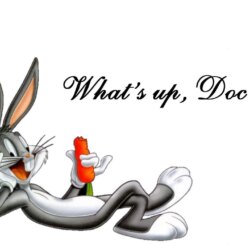 Looney Tunes Wallpapers Hd Wallpapers