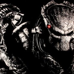 Image For > Alien Vs Predator Wallpapers Hd