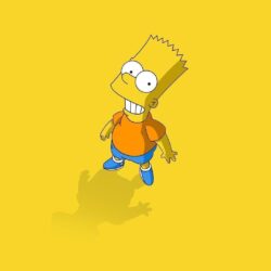 The Simpsons Wallpapers Bart